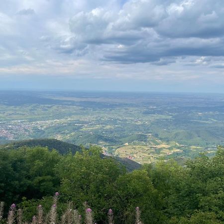 Ljetni Bungalov Kaniza Villa Zagabria Esterno foto