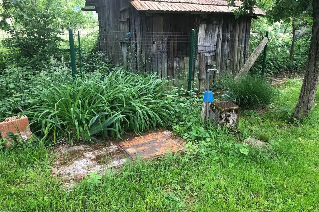 Ljetni Bungalov Kaniza Villa Zagabria Esterno foto